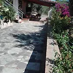 Irma * Tertenìa